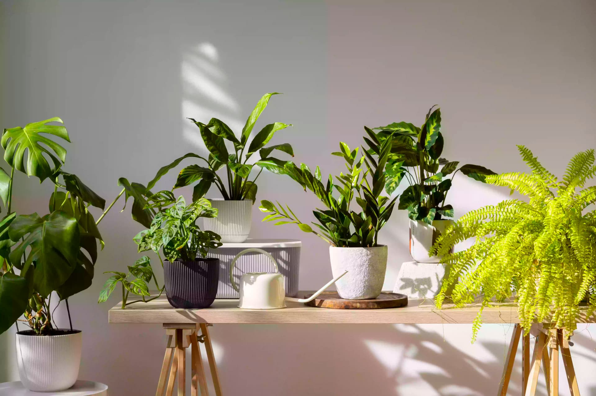 Vertical garden project